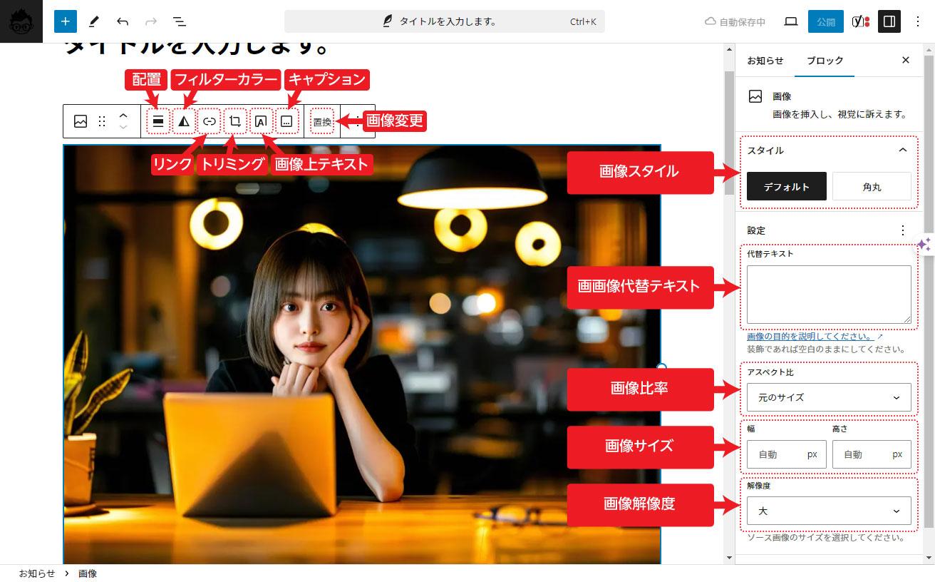 LAPLAB WordPress メイン画像上段設定項目